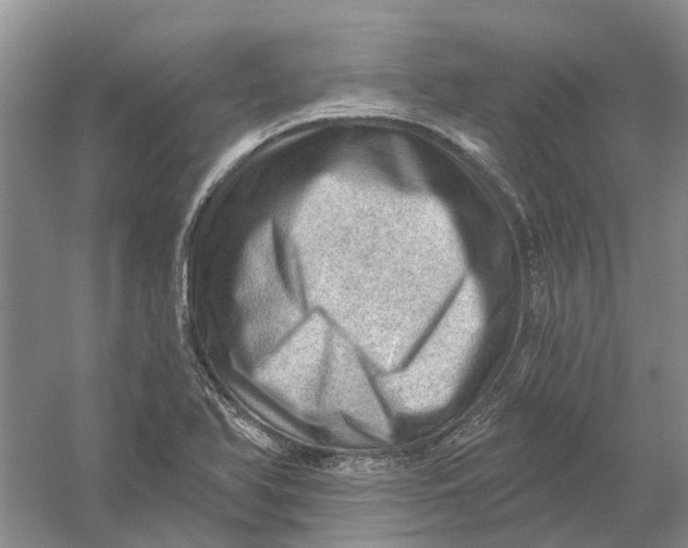 X0000054401366200508191954