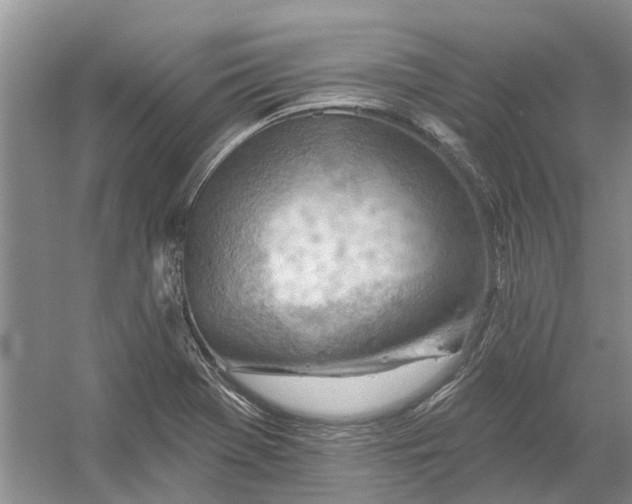 X0000054401369200508191954