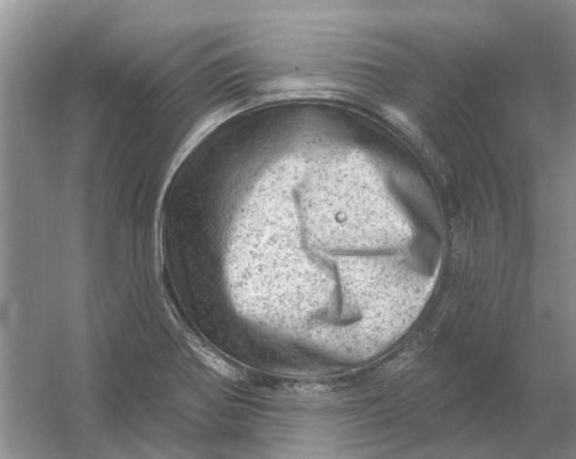 X0000054401370200508191954