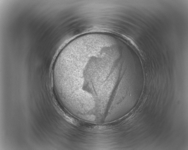 X0000054401371200508191954