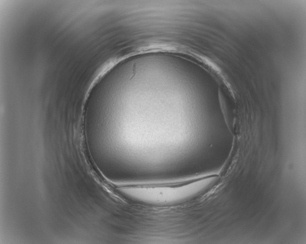 X0000054401373200508191954