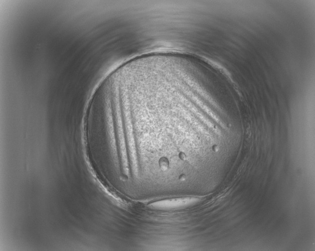 X0000054401375200508191954