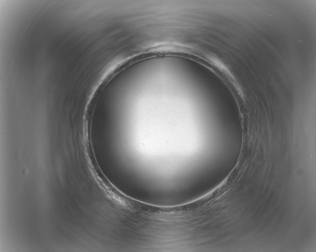 X0000054401376200508191954