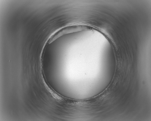 X0000054401380200508191954