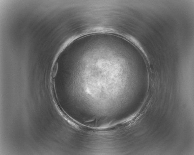 X0000054401381200508191954