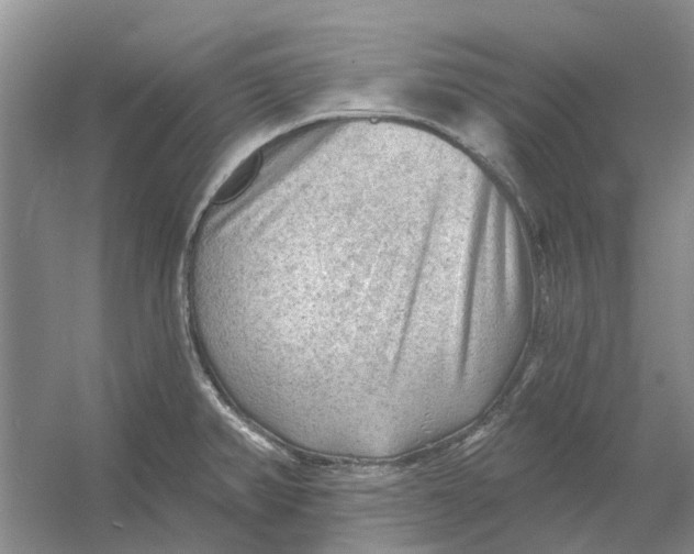 X0000054401382200508191954