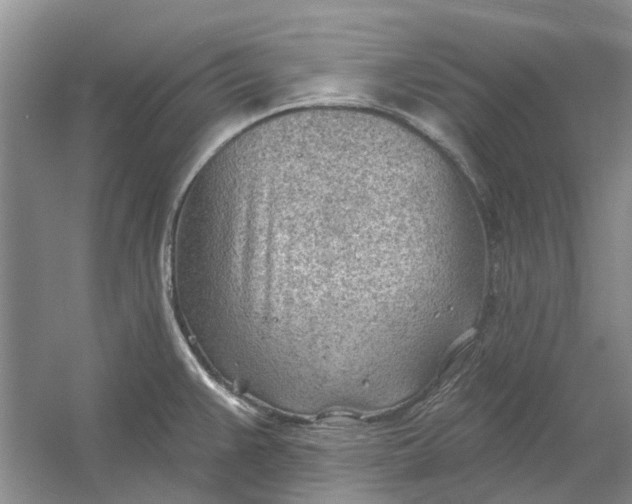 X0000054401383200508191953