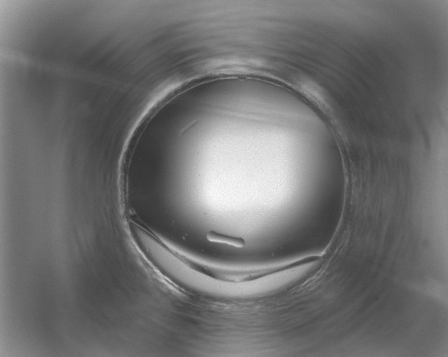 X0000054401384200508191953