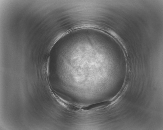 X0000054401385200508191953