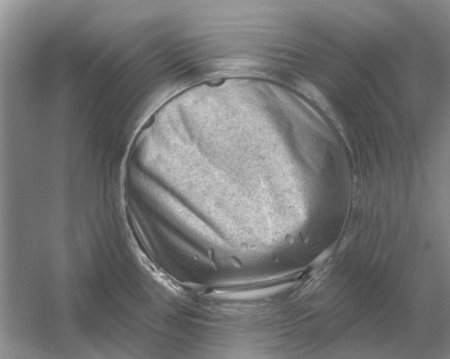 X0000054401386200508191953