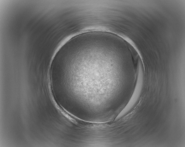 X0000054401389200508191953