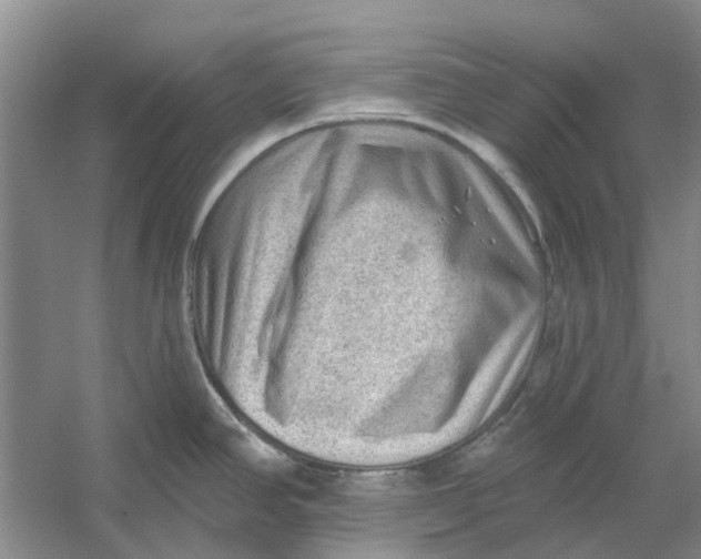 X0000054401390200508191953