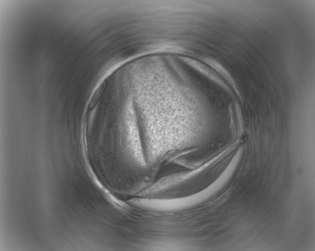 X0000054401391200508191953