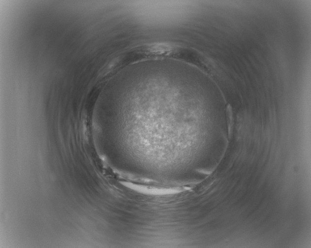 X0000054401394200508191953