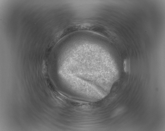 X0000054401395200508191953