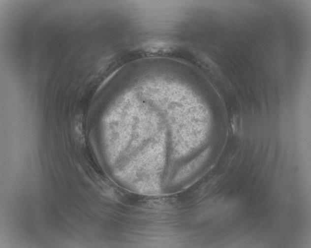 X0000054401396200508191953