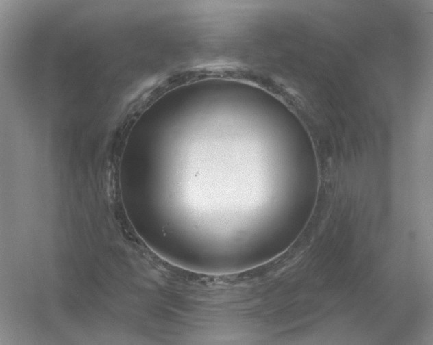 X0000054401398200508191953