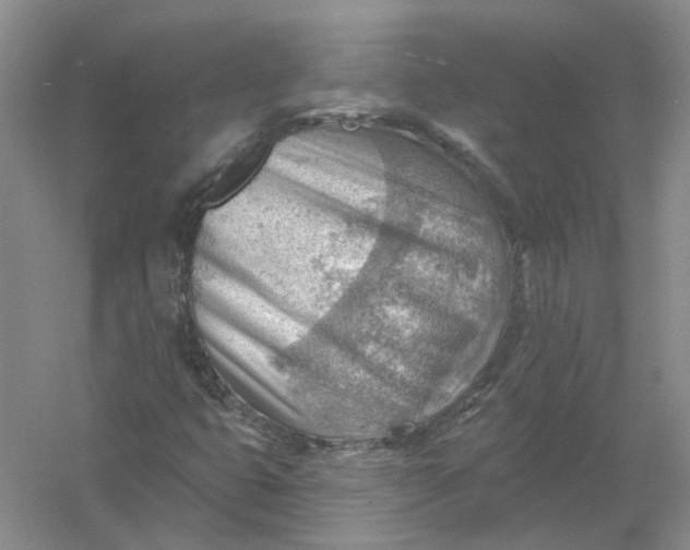 X0000054401399200508191953