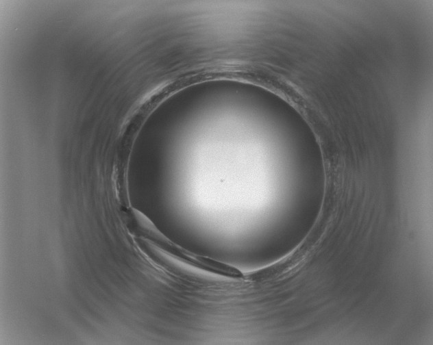 X0000054401402200508191953