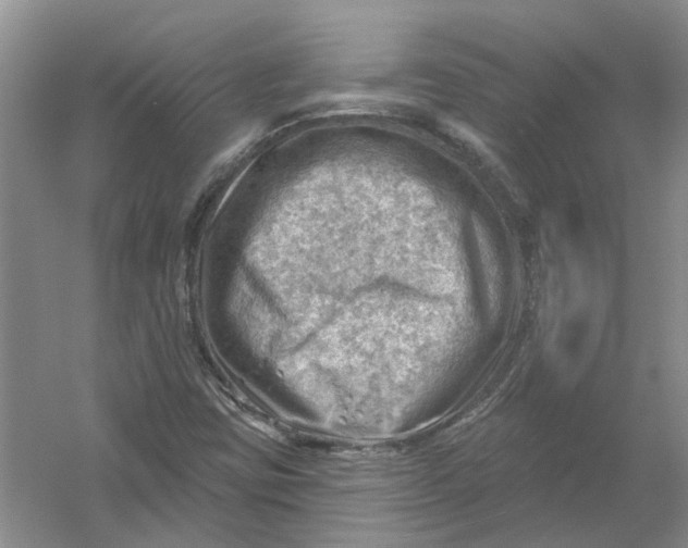 X0000054401403200508191953