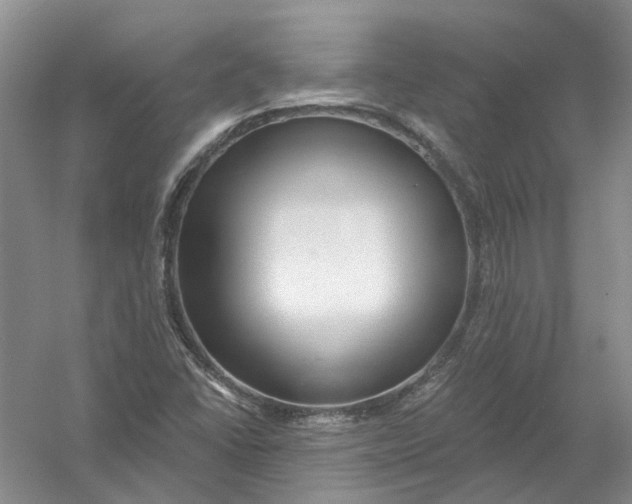 X0000054401406200508191953