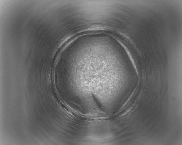 X0000054401409200508191953