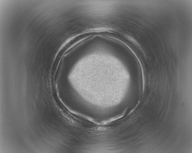 X0000054401412200508191953