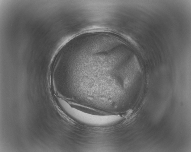 X0000054401413200508191953