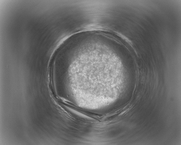 X0000054401415200508191953