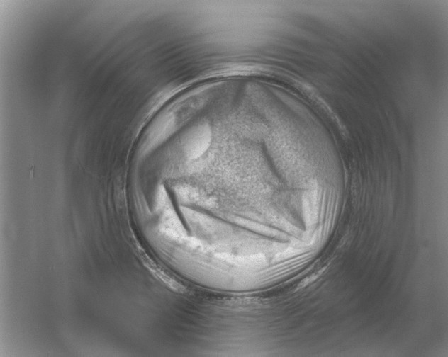 X0000054401417200508191953