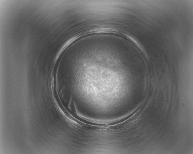 X0000054401418200508191953