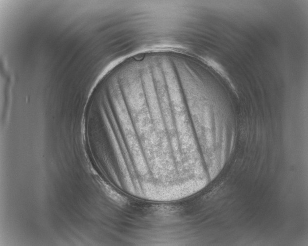 X0000054401420200508191953