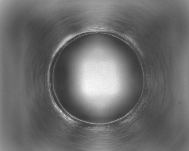 X0000054401422200508191953