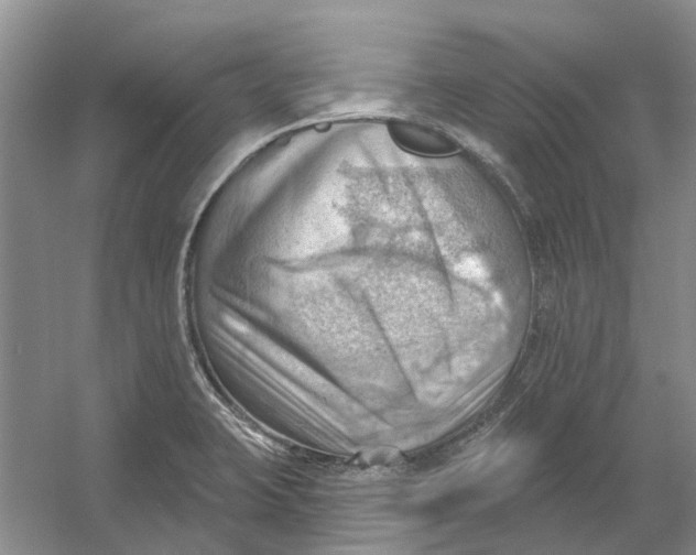 X0000054401423200508191953