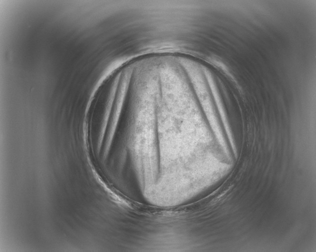 X0000054401424200508191953