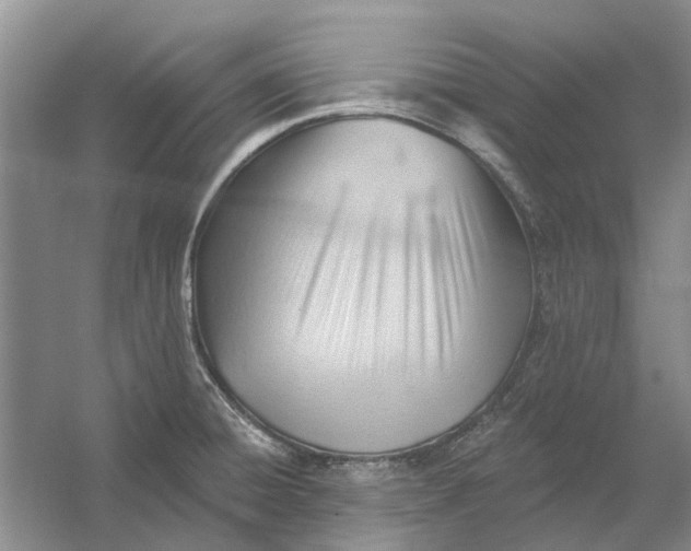 X0000054401428200508191953