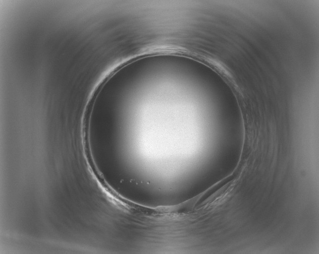 X0000054401430200508191953