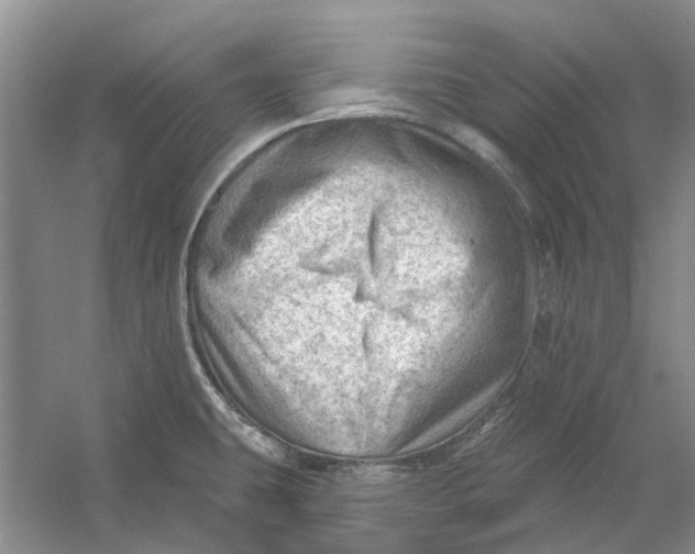 X0000054401431200508191953