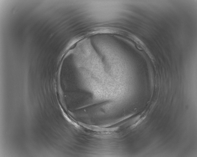 X0000054401433200508191953