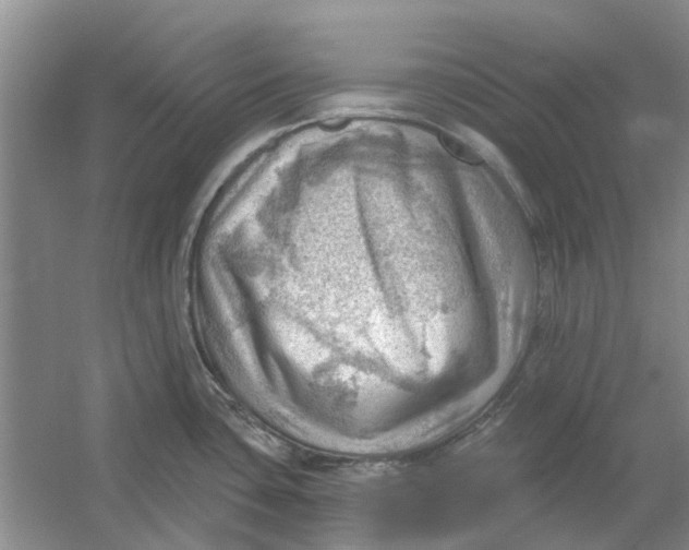 X0000054401435200508191953