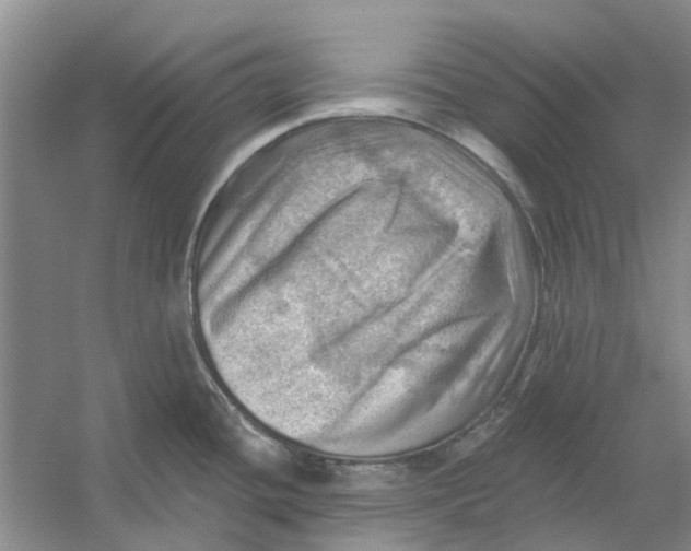 X0000054401436200508191953