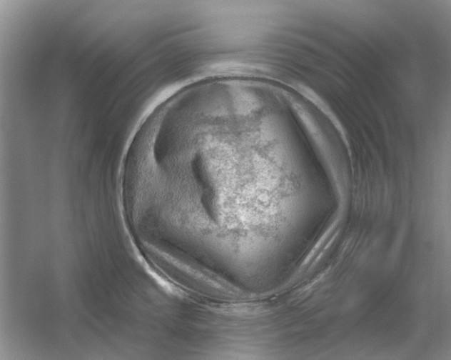 X0000054401437200508191953