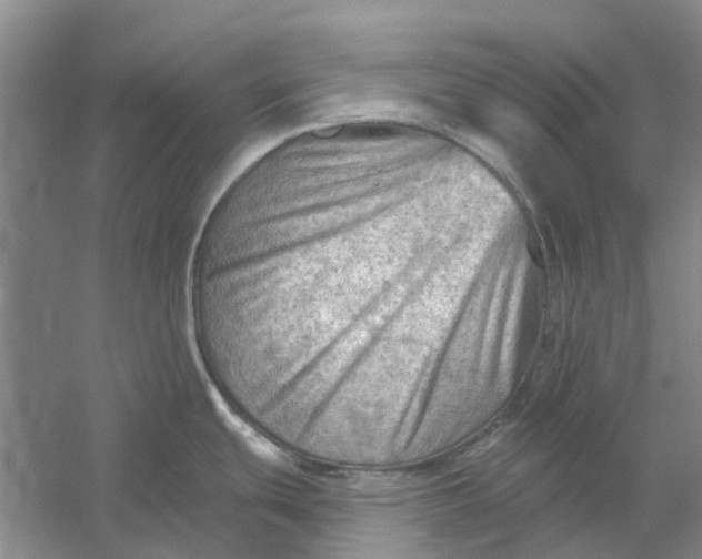 X0000054401439200508191953