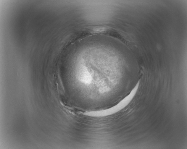 X0000054401441200508191953