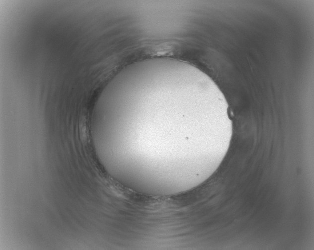 X0000054401442200508191952