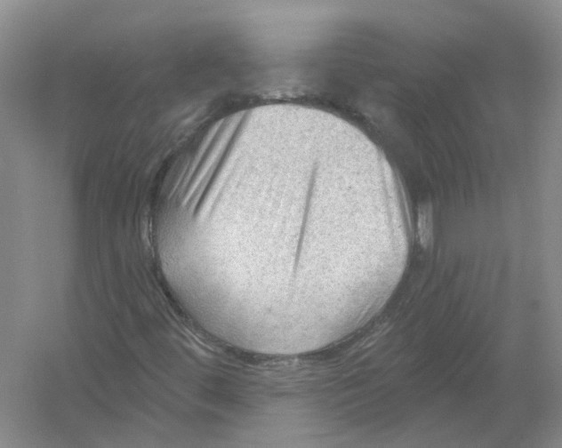 X0000054401444200508191952