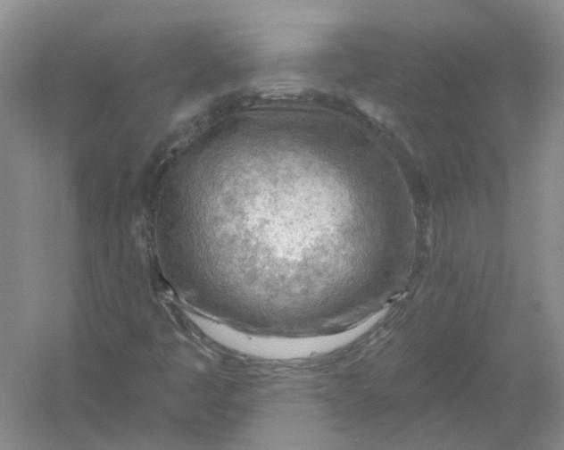 X0000054401445200508191952