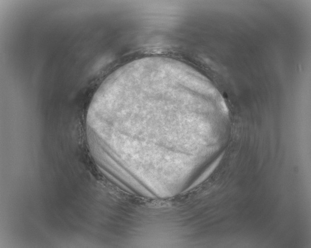 X0000054401446200508191952