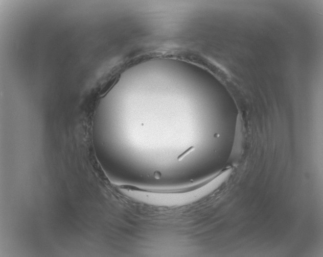 X0000054401447200508191952