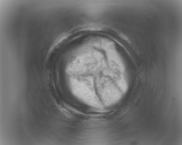 X0000054401448200508191952